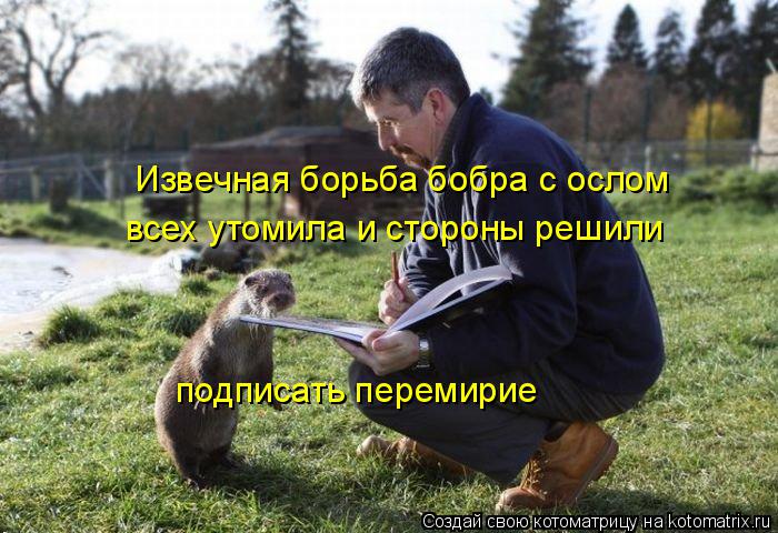 Извечная борьба бобра с ослом всех утомила и стороны решили подписать перемирие... Котоматрица: Извечная борьба бобра с ослом всех утомила и стороны решили подписать перемирие