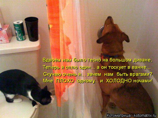 Вдвоём нам было тесно на большом диване, Теперь я сплю один... а он тоскует в ванне... Скучаю очень я... Котоматрица: Вдвоём нам было тесно на большом диване, Теперь я сплю один... а он тоскует в ванне... Скучаю очень я... зачем нам быть врагами? Мне ПЛОХО одно