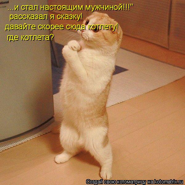 ...и стал настоящим мужчиной!!!" рассказал я сказку! давайте скорее сюда котлету! где котлета?... Котоматрица: ...и стал настоящим мужчиной!!!" рассказал я сказку! давайте скорее сюда котлету! где котлета?