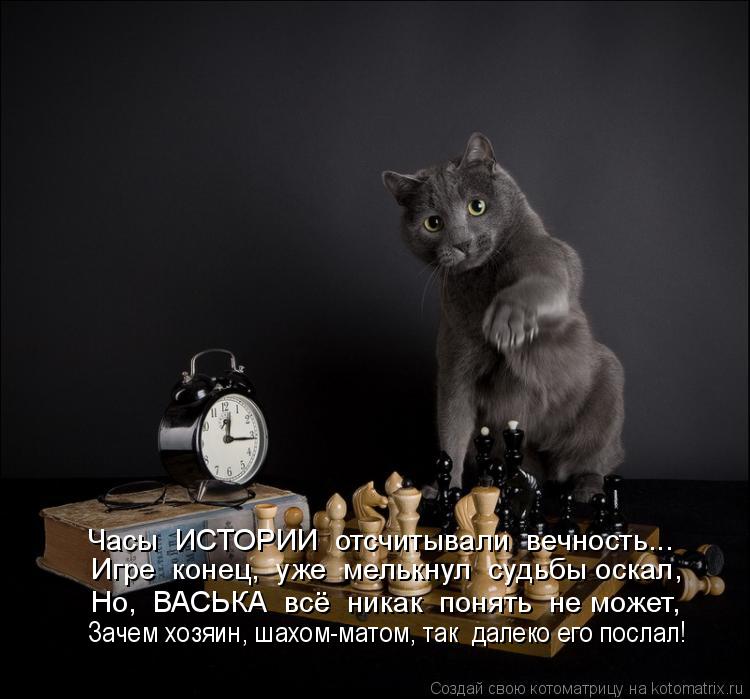 Часы ИСТОРИИ отсчитывали вечность... Игре конец, уже мелькнул судьбы оскал, Но, ВАСЬКА всё ... Котоматрица: Часы ИСТОРИИ отсчитывали вечность... Игре конец, уже мелькнул судьбы оскал, Но, ВАСЬКА всё никак понять не может, Зачем хозяин, шахом-м