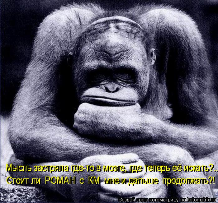 Мысль застряла где-то в мозге, где теперь её искать?... Мысль застряла где-то в мозге, где теперь её ... Котоматрица: Мысль застряла где-то в мозге, где теперь её искать?... Мысль застряла где-то в мозге, где теперь её искать?... Стоит ли РОМАН с КМ мне и дальше