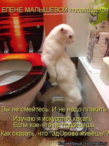 ЕЛЕНЕ МАЛЫШЕВОЙ посвящается Вы не смейтесь. И не надо плакать. Изучаю я искусство какать. Если кое-чт... Котоматрица: ЕЛЕНЕ МАЛЫШЕВОЙ посвящается Вы не смейтесь. И не надо плакать. Изучаю я искусство какать. Если кое-что не подотрёшь, Как сказать, что "ЗдОров