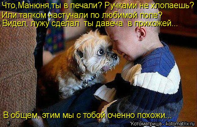 Котоматрица: Что,Манюня,ты в печали? Ручками не хлопаешь?  Или тапком настучали по любимой попе? Видел, лужу сделал  ты давеча  в прихожей... В общем, этим мы