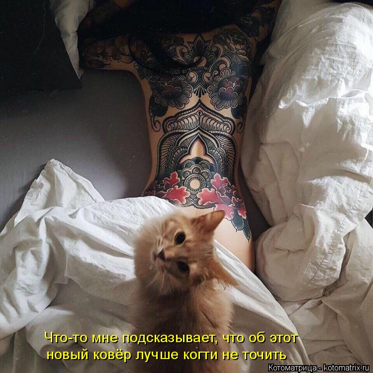 Что-то мне подсказывает, что об этот новый ковёр лучше когти не точить... Котоматрица: Что-то мне подсказывает, что об этот новый ковёр лучше когти не точить