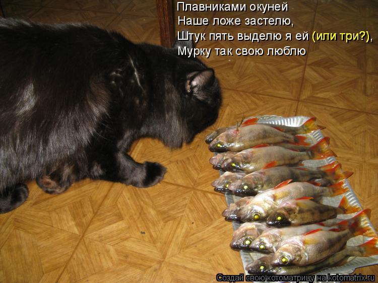 Плавниками окуней Наше ложе застелю, Штук пять выделю я ей (или три?), Мурку так свою люблю (или три?... Котоматрица: Плавниками окуней Наше ложе застелю, Штук пять выделю я ей (или три?), Мурку так свою люблю (или три?)