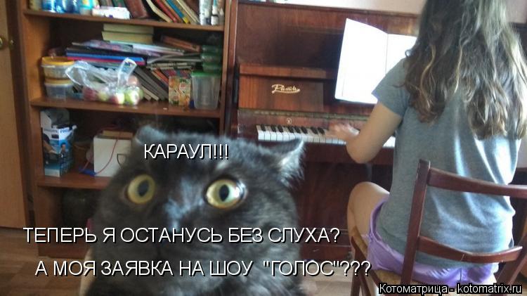 Котоматрица: КАРАУЛ!!!  ТЕПЕРЬ Я ОСТАНУСЬ БЕЗ СЛУХА? А МОЯ ЗАЯВКА НА ШОУ  "ГОЛОС"???