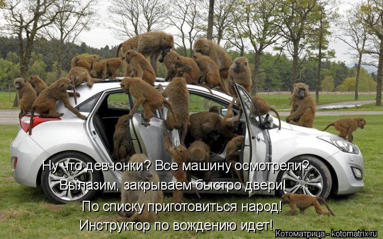 По списку приготовиться народ! Ну что девчонки? Все машину осмотрели? Вылазим, закрываем быстро двери... Котоматрица: По списку приготовиться народ! Ну что девчонки? Все машину осмотрели? Вылазим, закрываем быстро двери! Инструктор по вождению идет!
