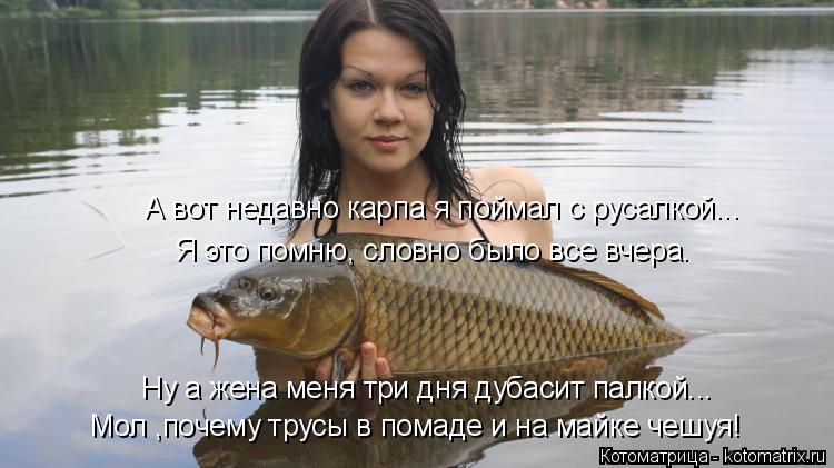 Котоматрица: А вот недавно карпа я поймал с русалкой... Я это помню, словно было все вчера. Ну а жена меня три дня дубасит палкой... Мол ,почему трусы в помад