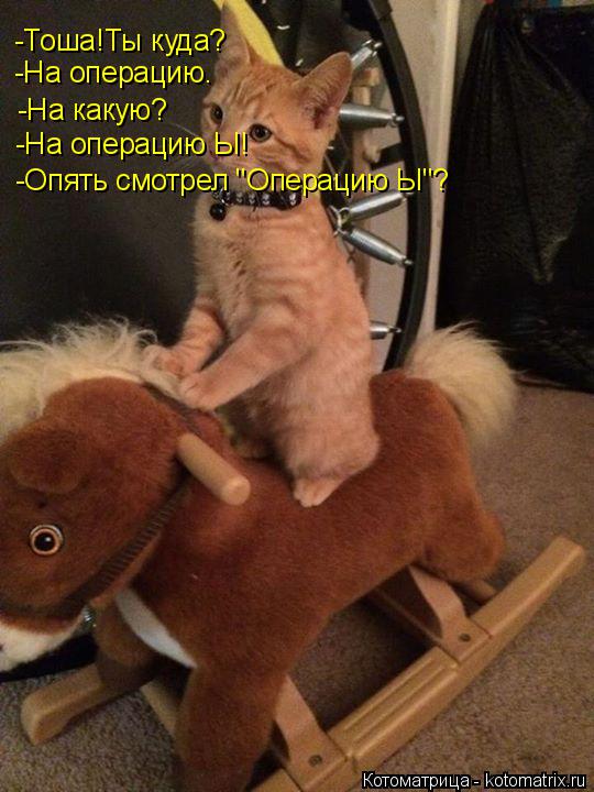 Котоматрица: -Тоша!Ты куда? -На операцию. -На какую? -На операцию Ы! -Опять смотрел "Операцию Ы"?