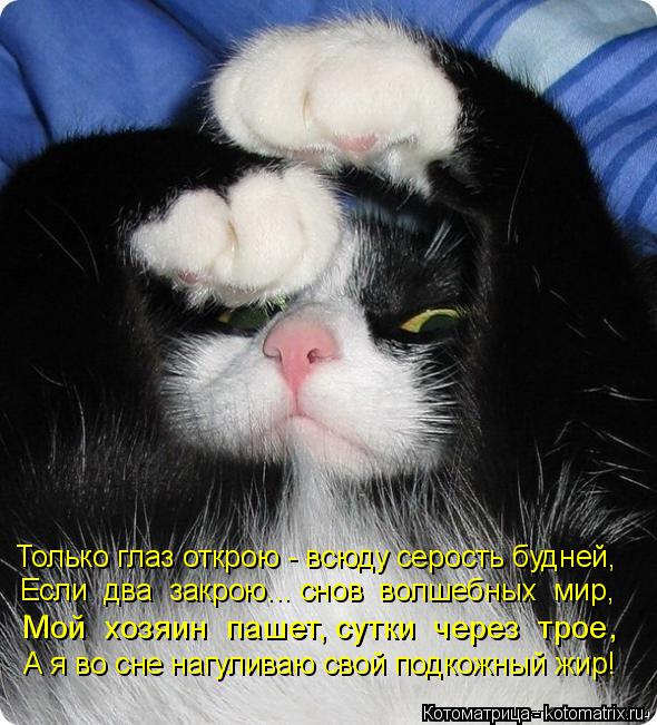 Только глаз открою - всюду серость будней, Если два закрою... снов волшебных мир, Мой хозяин па... Котоматрица: Только глаз открою - всюду серость будней, Если два закрою... снов волшебных мир, Мой хозяин пашет, сутки через трое, А я во сне нагуливаю