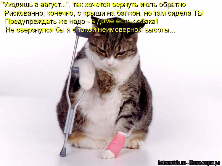 "Уходишь в август...", так хочется вернуть июль обратно Рискованно, конечно, с крыши на балкон, но ... Котоматрица: "Уходишь в август...", так хочется вернуть июль обратно Рискованно, конечно, с крыши на балкон, но там сидела ТЫ Предупреждать же надо - в дом
