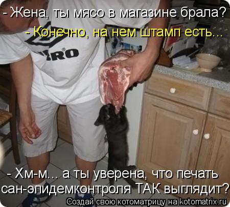 - Жена, ты мясо в магазине брала? - Конечно, на нем штамп есть... - Хм-м... а ты уверена, что печать ... Котоматрица: - Жена, ты мясо в магазине брала? - Конечно, на нем штамп есть... - Хм-м... а ты уверена, что печать сан-эпидемконтроля ТАК выглядит?!