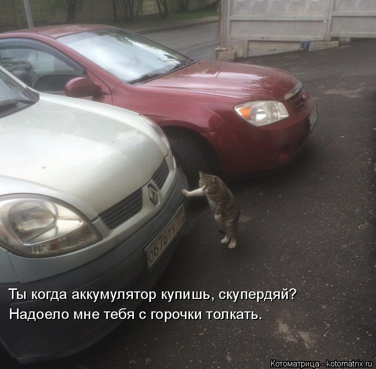 Ты когда аккумулятор купишь, скупердяй? Надоело мне тебя с горочки толкать.... Котоматрица: Ты когда аккумулятор купишь, скупердяй? Надоело мне тебя с горочки толкать.