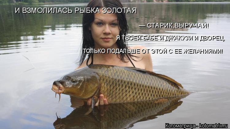 И ВЗМОЛИЛАСЬ РЫБКА ЗОЛОТАЯ — СТАРИК,ВЫРУЧАЙ! Я ТВОЕЙ БАБЕ И ДЖАКУЗИ И ДВОРЕЦ, ТОЛЬКО ПОДАЛЬШЕ ОТ ЭТОЙ... Котоматрица: И ВЗМОЛИЛАСЬ РЫБКА ЗОЛОТАЯ — СТАРИК,ВЫРУЧАЙ! Я ТВОЕЙ БАБЕ И ДЖАКУЗИ И ДВОРЕЦ, ТОЛЬКО ПОДАЛЬШЕ ОТ ЭТОЙ С ЕЕ ЖЕЛАНИЯМИ!
