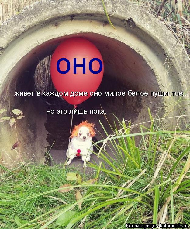 оно живет в каждом доме оно милое белое пушистое...... но это лишь пока......... Котоматрица: оно живет в каждом доме оно милое белое пушистое...... но это лишь пока......