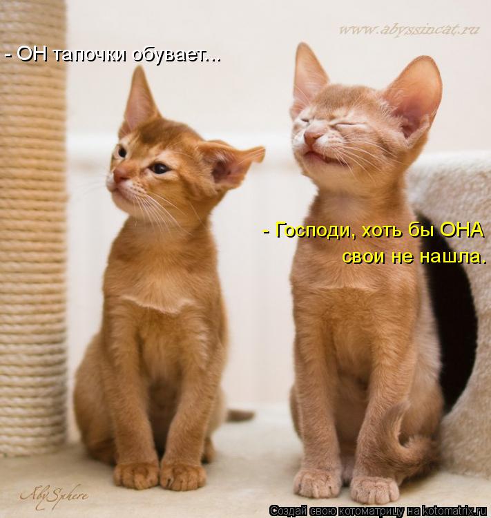 - Господи, хоть бы ОНА свои не нашла. - ОН тапочки обувает...... Котоматрица: - Господи, хоть бы ОНА свои не нашла. - ОН тапочки обувает...