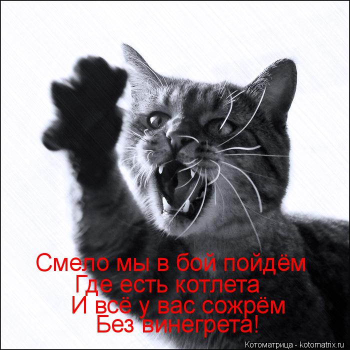 Смело мы в бой пойдём Где есть котлета И всё у вас сожрём Без винегрета!... Котоматрица: Смело мы в бой пойдём Где есть котлета И всё у вас сожрём Без винегрета!