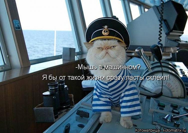 -Мышь в машинном? Я бы от такой жизни сразу ласты склеил!... Котоматрица: -Мышь в машинном? Я бы от такой жизни сразу ласты склеил!