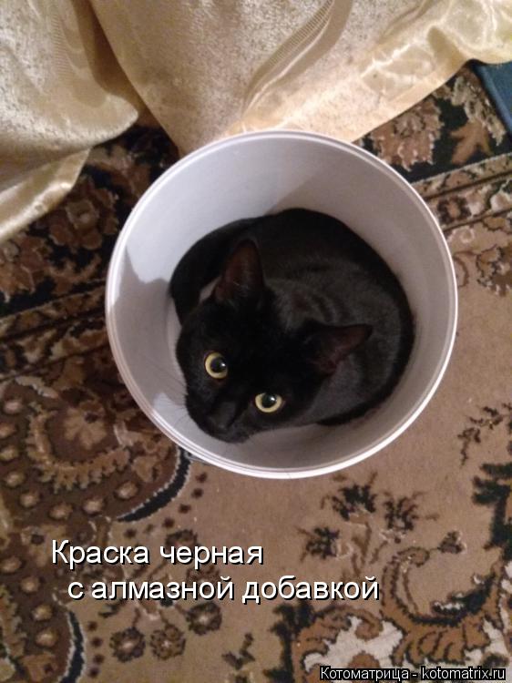 Краска черная с алмазной добавкой... Котоматрица: Краска черная с алмазной добавкой
