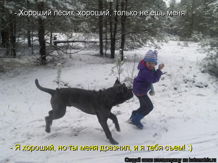 - Хороший пёсик, хороший, только не ешь меня! - Я хороший, но ты меня дразнил, и я тебя съем! :)... Котоматрица: - Хороший пёсик, хороший, только не ешь меня! - Я хороший, но ты меня дразнил, и я тебя съем! :)