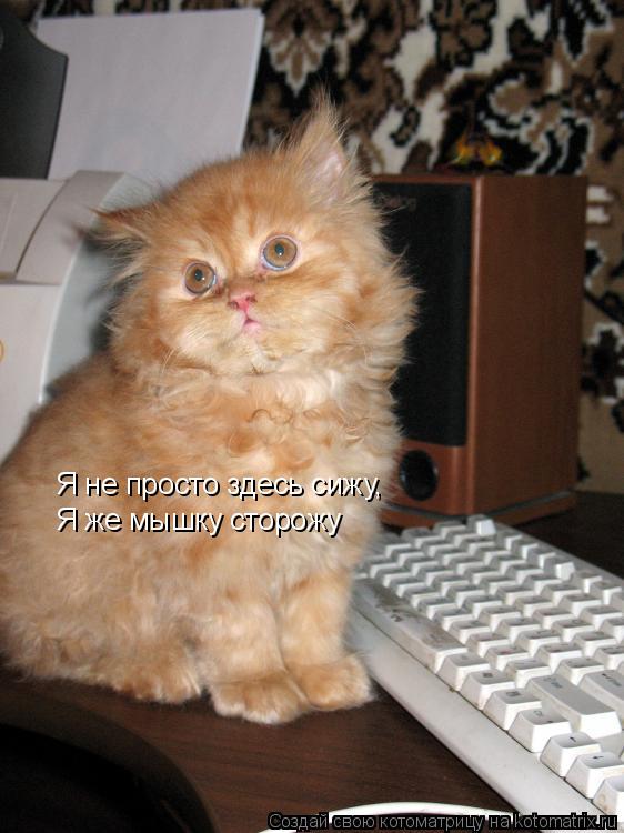 Я не просто здесь сижу, Я не просто здесь сижу, Я же мышку сторожу... Котоматрица: Я не просто здесь сижу, Я не просто здесь сижу, Я же мышку сторожу