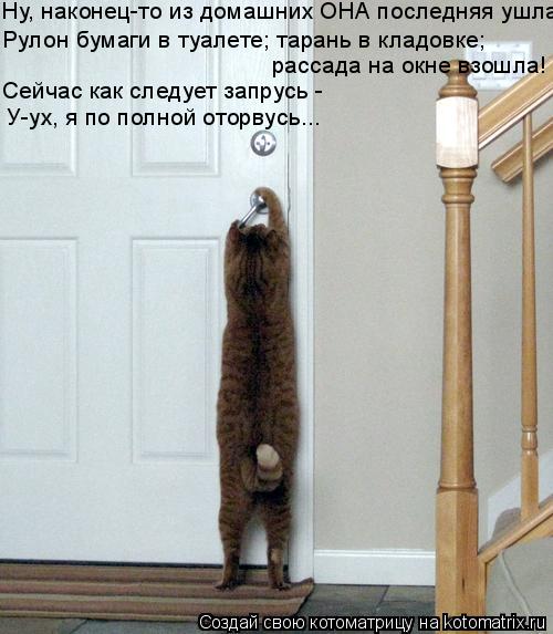 Ну, наконец-то из домашних ОНА последняя ушла Рулон бумаги в туалете; тарань в кладовке; рассада на... Котоматрица: Ну, наконец-то из домашних ОНА последняя ушла Рулон бумаги в туалете; тарань в кладовке; рассада на окне взошла! Сейчас как следует запрусь
