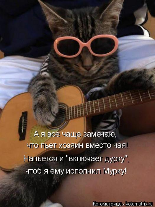что пьет хозяин вместо чая! чтоб я ему исполнил Мурку! Напьется и "включает дурку", А я все чаще заме... Котоматрица: что пьет хозяин вместо чая! чтоб я ему исполнил Мурку! Напьется и "включает дурку", А я все чаще замечаю,
