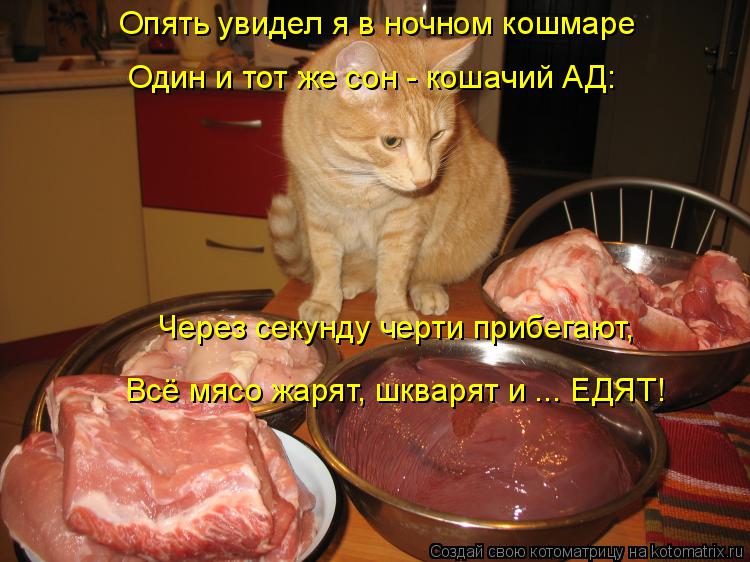 Опять увидел я в ночном кошмаре Один и тот же сон - кошачий АД: Через секунду черти прибегают, Всё мя... Котоматрица: Опять увидел я в ночном кошмаре Один и тот же сон - кошачий АД: Через секунду черти прибегают, Всё мясо жарят, шкварят и ... ЕДЯТ!