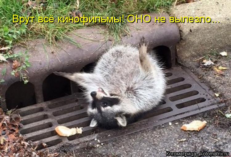 Врут всё кинофильмы! ОНО не вылезло...... Котоматрица: Врут всё кинофильмы! ОНО не вылезло...