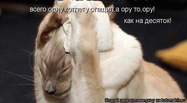 всего одну котлету стащил,а ору то,ору! как на десяток!... Котоматрица: всего одну котлету стащил,а ору то,ору! как на десяток!
