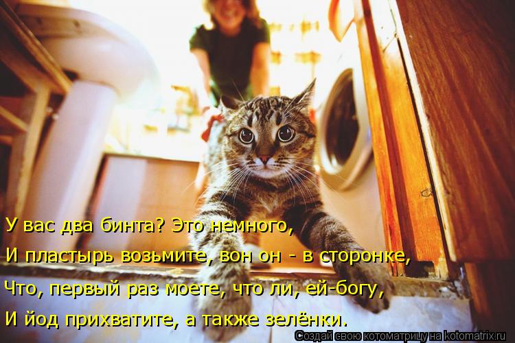 И йод прихватите, а также зелёнки. Что, первый раз моете, что ли, ей-богу, И пластырь возьмите, вон о... Котоматрица: И йод прихватите, а также зелёнки. Что, первый раз моете, что ли, ей-богу, И пластырь возьмите, вон он - в сторонке, У вас два бинта? Это немного,