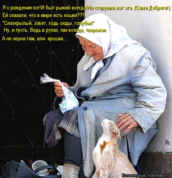 Я с рождения кот!И был рыжий всегда!Но старушка вот эта..(Сама Доброта!) Ей сказали, что в мире есть ... Котоматрица: Я с рождения кот!И был рыжий всегда!Но старушка вот эта..(Сама Доброта!) Ей сказали, что в мире есть кошки???... "Сизокрылый, зовет, ходь сюды, гол