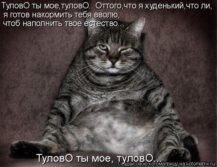Котоматрица: ТуловО ты мое,туловО.. Оттого,что я худенький,что ли,  я готов накормить тебя вволю,  чтоб наполнить твое естество... ТуловО ты мое, туловО...