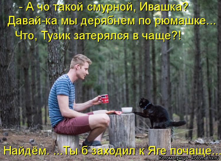 Котоматрица: - А чо такой смурной, Ивашка? Давай-ка мы дерябнем по рюмашке... Что, Тузик затерялся в чаще?! Найдём. ...Ты б заходил к Яге почаще...