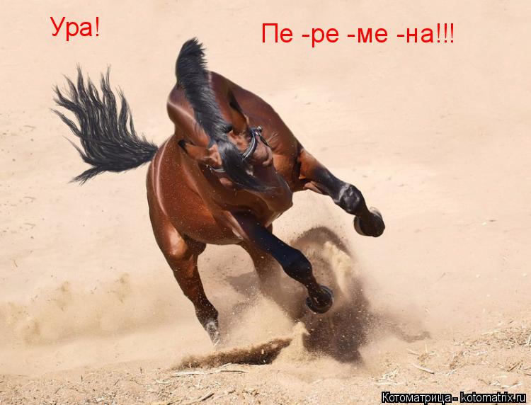 Котоматрица: Ура! Пе -ре -ме -на!!!