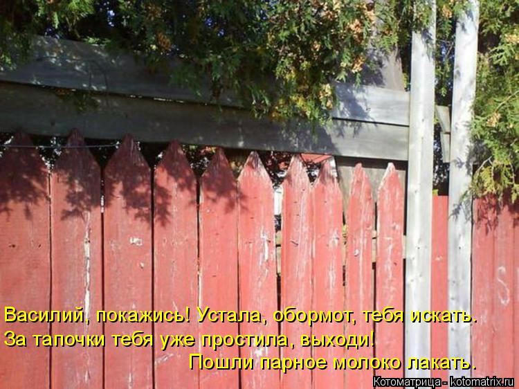 Василий, покажись! Устала, обормот, тебя искать. За тапочки тебя уже простила, выходи! Пошли парное м... Котоматрица: Василий, покажись! Устала, обормот, тебя искать. За тапочки тебя уже простила, выходи! Пошли парное молоко лакать.