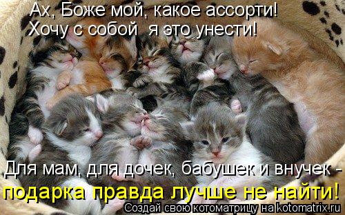 Ах, Боже мой, какое ассорти! Хочу с собой я это унести! Для мам, для дочек, бабушек и внучек - пода... Котоматрица: Ах, Боже мой, какое ассорти! Хочу с собой я это унести! Для мам, для дочек, бабушек и внучек - подарка правда лучше не найти!