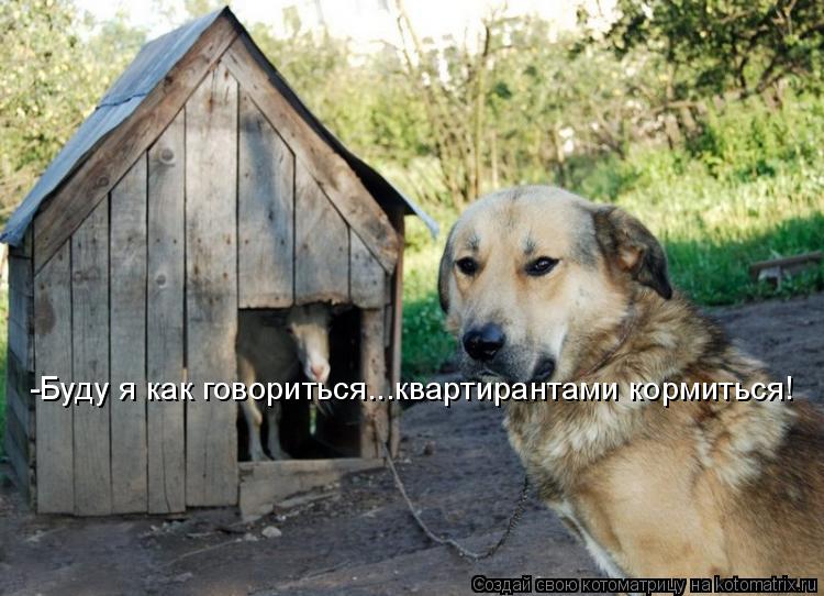 -Буду я как говориться...квартирантами кормиться!... Котоматрица: -Буду я как говориться...квартирантами кормиться!