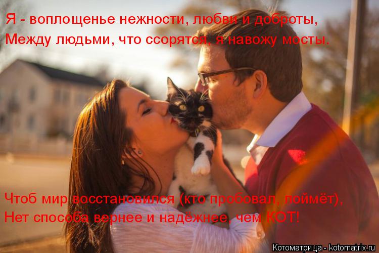 Я - воплощенье нежности, любви и доброты, Между людьми, что ссорятся, я навожу мосты. Чтоб мир восста... Котоматрица: Я - воплощенье нежности, любви и доброты, Между людьми, что ссорятся, я навожу мосты. Чтоб мир восстановился (кто пробовал, поймёт), Нет способ