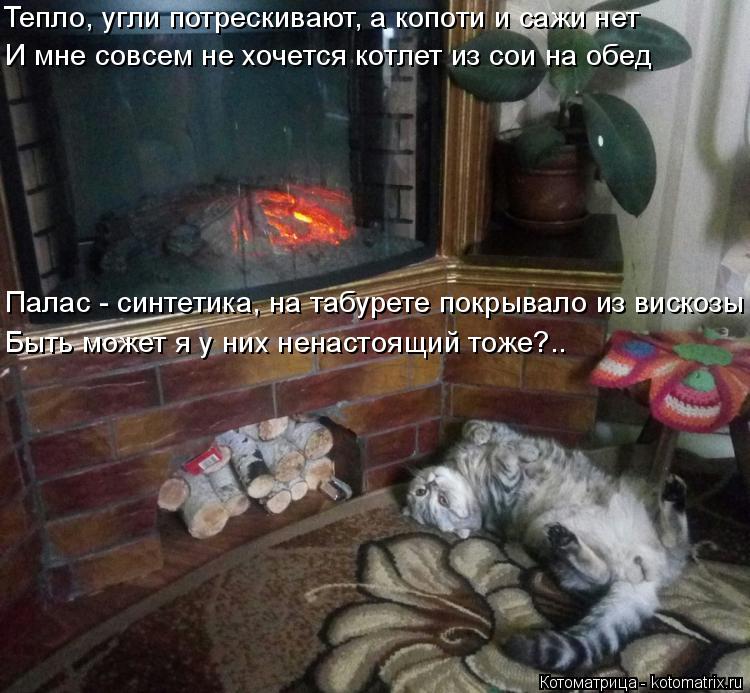 Тепло, угли потрескивают, а копоти и сажи нет И мне совсем не хочется котлет из сои на обед Палас - с... Котоматрица: Тепло, угли потрескивают, а копоти и сажи нет И мне совсем не хочется котлет из сои на обед Палас - синтетика, на табурете покрывало из вискоз