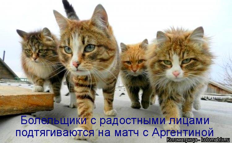 Болельщики с радостными лицами подтягиваются на матч с Аргентиной... Котоматрица: Болельщики с радостными лицами подтягиваются на матч с Аргентиной