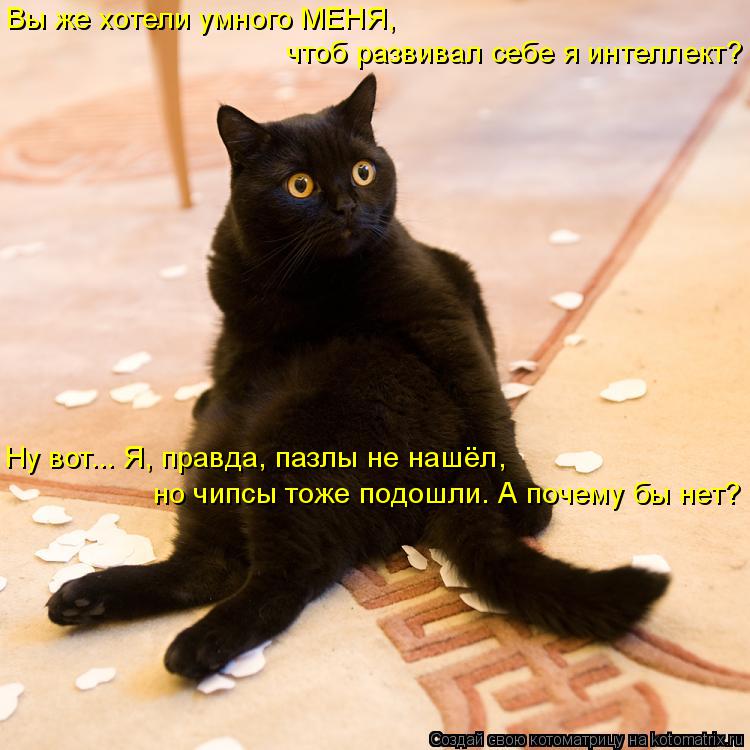 Вы же хотели умного МЕНЯ, чтоб развивал себе я интеллект? Ну вот... Я, правда, пазлы не нашёл, но чи... Котоматрица: Вы же хотели умного МЕНЯ, чтоб развивал себе я интеллект? Ну вот... Я, правда, пазлы не нашёл, но чипсы тоже подошли. А почему бы нет?