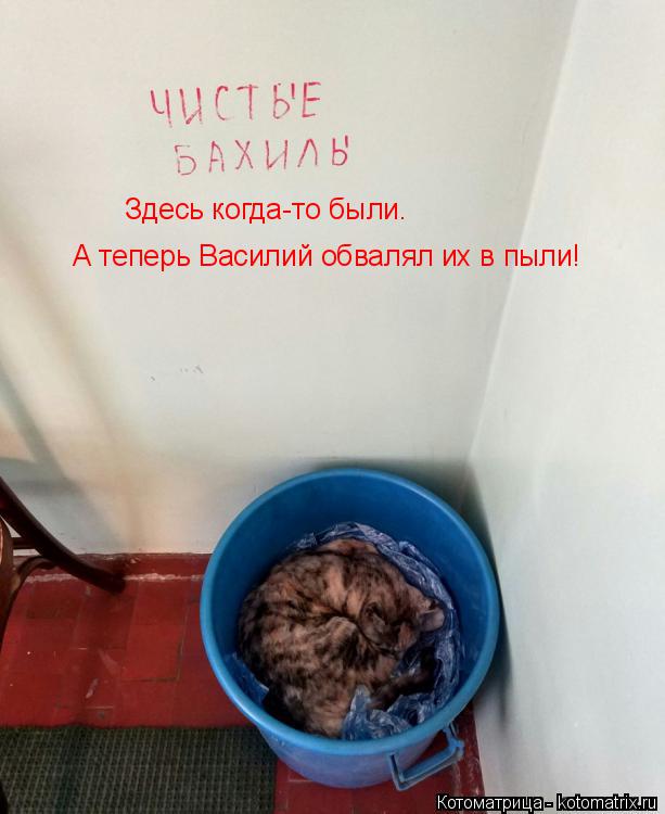 Здесь когда-то были. А теперь Василий обвалял их в пыли!... Котоматрица: Здесь когда-то были. А теперь Василий обвалял их в пыли!