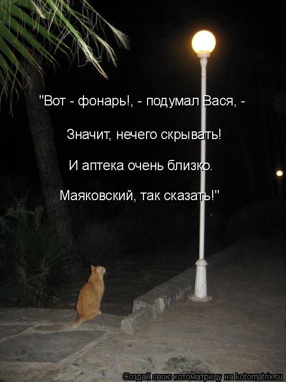 "Вот - фонарь!, - подумал Вася, - Значит, нечего скрывать! И аптека очень близко. Маяковский, так ск... Котоматрица: "Вот - фонарь!, - подумал Вася, - Значит, нечего скрывать! И аптека очень близко. Маяковский, так сказать!"