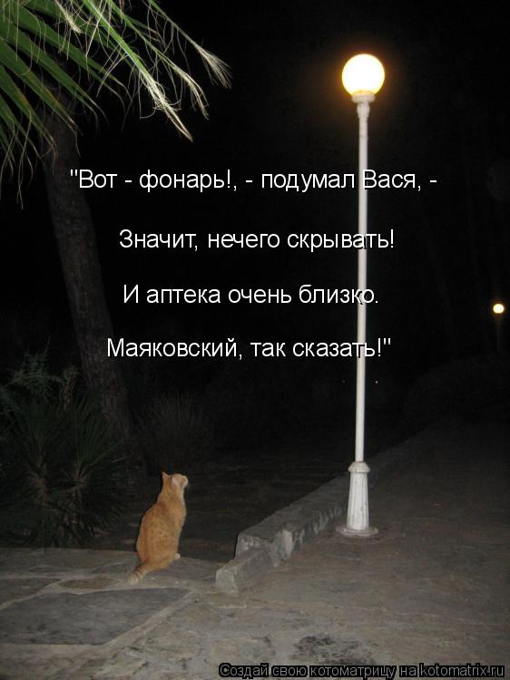 Котоматрица: "Вот - фонарь!, - подумал Вася, -  Значит, нечего скрывать! И аптека очень близко. Маяковский, так сказать!"