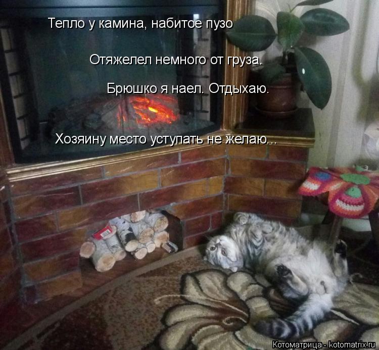 Тепло у камина, набитое пузо Отяжелел немного от груза. Брюшко я наел. Отдыхаю. Хозяину место уступат... Котоматрица: Тепло у камина, набитое пузо Отяжелел немного от груза. Брюшко я наел. Отдыхаю. Хозяину место уступать не желаю...