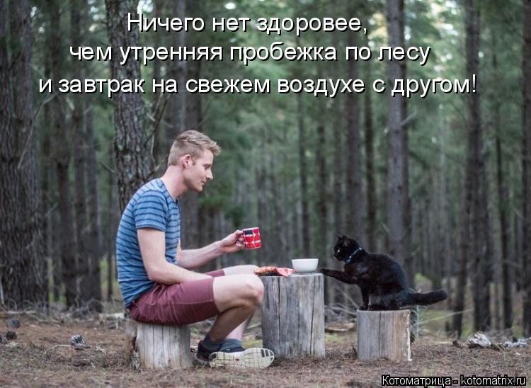 Ничего нет здоровее, чем утренняя пробежка по лесу и завтрак на свежем воздухе с другом!... Котоматрица: Ничего нет здоровее, чем утренняя пробежка по лесу и завтрак на свежем воздухе с другом!