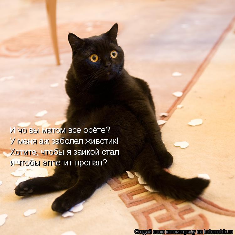 И чо вы матом все орёте? У меня аж заболел животик! Хотите, чтобы я заикой стал, и чтобы аппетит про... Котоматрица: И чо вы матом все орёте? У меня аж заболел животик! Хотите, чтобы я заикой стал, и чтобы аппетит пропал?