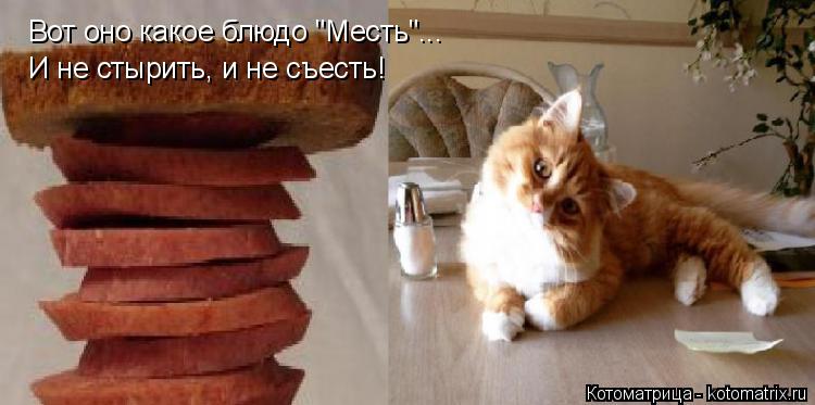 Вот оно какое блюдо "Месть"... И не стырить, и не съесть!... Котоматрица: Вот оно какое блюдо "Месть"... И не стырить, и не съесть!