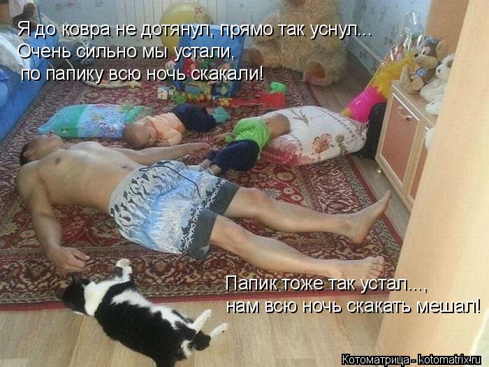 Я до ковра не дотянул, прямо так уснул... Очень сильно мы устали, по папику всю ночь скакали! Папик ... Котоматрица: Я до ковра не дотянул, прямо так уснул... Очень сильно мы устали, по папику всю ночь скакали! Папик тоже так устал..., нам всю ночь скакать меша